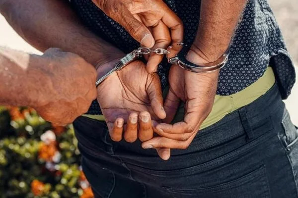 Police Takedown