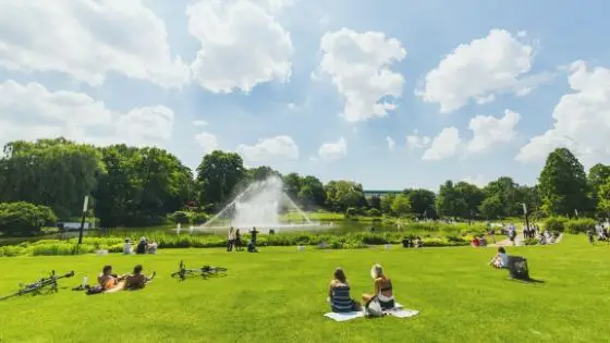 Parks | DECTIFY